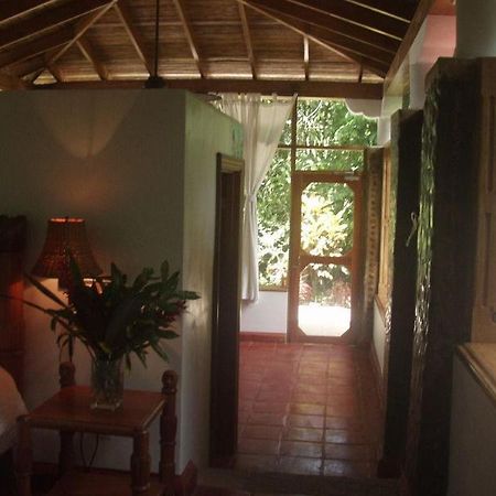 בלמופן Ian Andersons Caves Branch Jungle Lodge מראה חיצוני תמונה