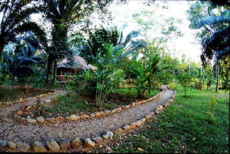 בלמופן Ian Andersons Caves Branch Jungle Lodge מראה חיצוני תמונה